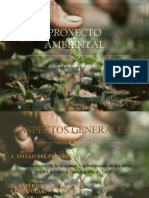 Proyecto Medio Ambiental