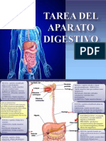Tarea Del Ap Digestivo-Jairo Andres Diaz