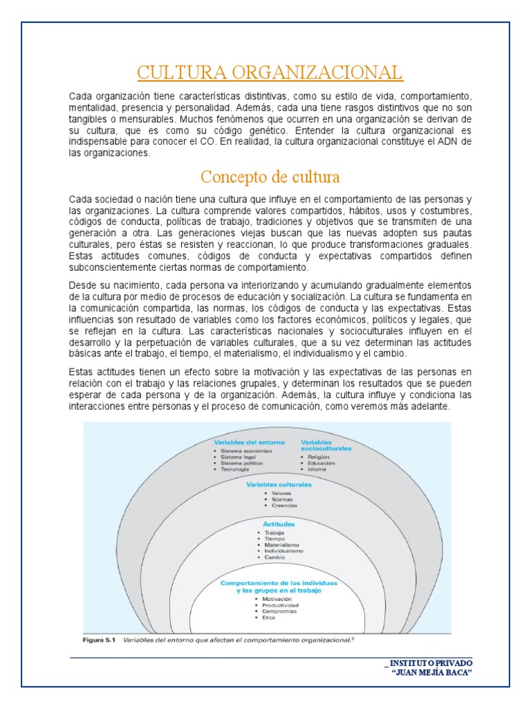 Socialización en la Cultura Organizacional | PDF | Iniciativa ...