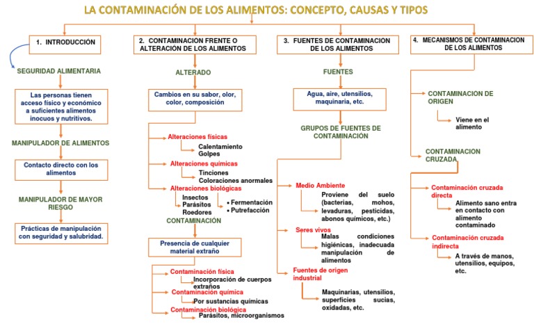 Tipos y fuentes de contaminación alimentaria | PDF | Alimentos ...