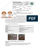 11 - Ciencias - Laboratorio N1 - P2