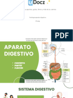 Fisiologia Aparato Digestivo 260901 Downloable 1689371