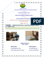 Rapport TOHO C. Symaël_compressed