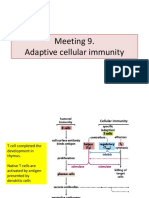 Cellular Adaptive Immunity