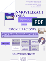 Seminario Inmovilizaciones