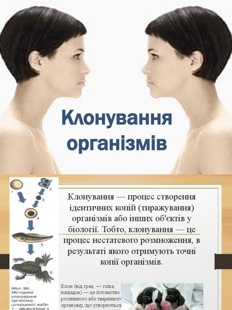 Clone People | PDF