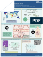 Hepatitis Aguda A Review Actualizada