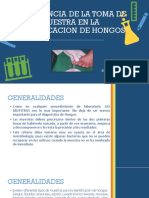 1 Importancia de Toma MX en La Identificación de Hongos. 12.05.22