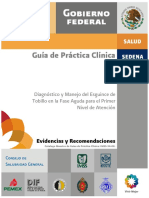 IMSS-034-08 Diagnóstico y Manejo Del Esguince de Tobillo en La Fase Aguda en El Primer Nivel de Atención Eyr