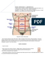 pdfcoffee.com_organizarea-topografica-a-abdomenuluidocx-pdf-free