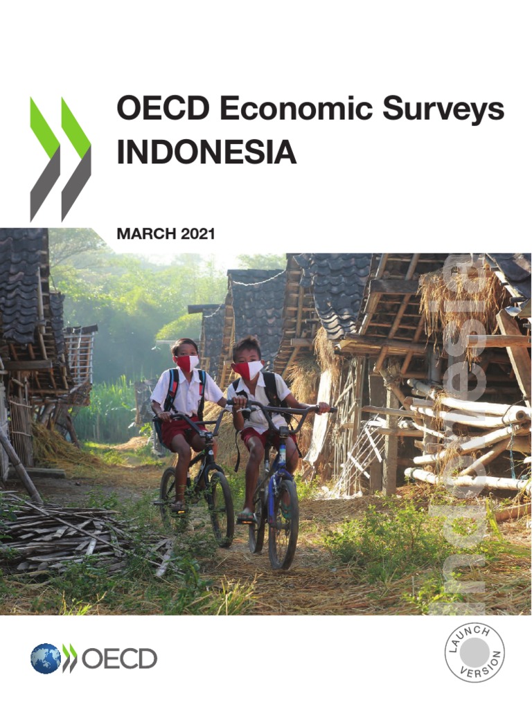 2021 Oecd Indonesia Pdf Gross Domestic Product Economic Growth
