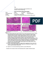 2022 12 28 PJ 1114 22 SCC Supra Labial