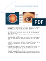 Anatomy and Function of The Eye