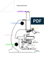 Compound Microscope