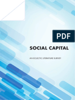 Social Capital-An Eclectic Literature Survey