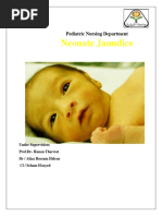 2 Neonatal Jaundice