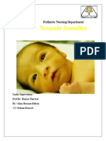 2 Neonatal Jaundice