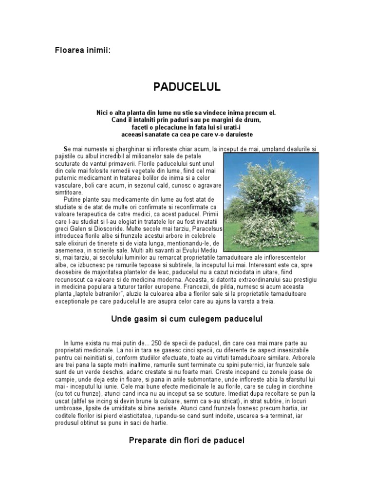 Paducelul | PDF