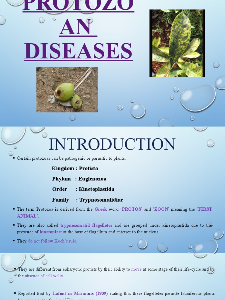 Diseases Caused By Bacteria, Virus, Protozoa, Pdf Notes – RJRG