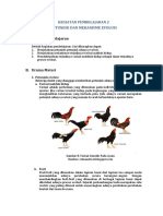 Pembelajaran 2 Petunjuk Dan Mekanisme Evolusi