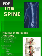 Download the vertebral column by Jenny Lyn Passilan SN6484161 doc pdf