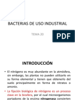 Unidad 20 Bacterias de Uso Industrial
