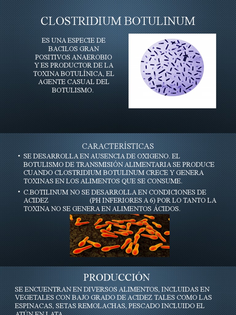 Clostridium Botulinum | PDF