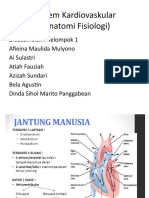 Sistem Kardiovaskular