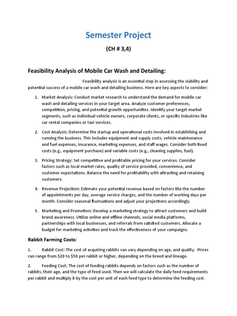 Mobile Car Wash & Detailing Project Part 2 PDF Swot Analysis