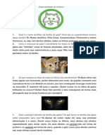 Especialidade de Felinos