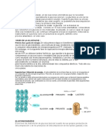 Glucólisis y Gluconeogenesis