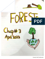 O1 PKST Forests