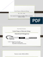 Central Dogma of Molecular Biology