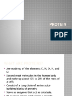 Protein PP T