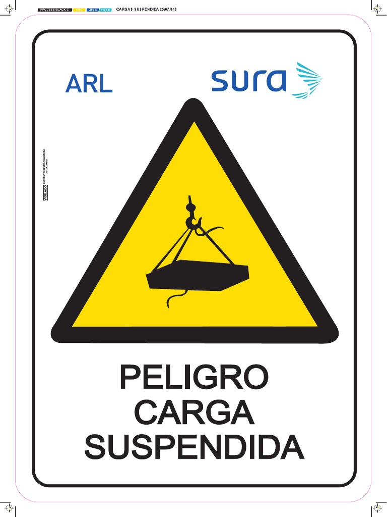 Carga Suspendida PDF