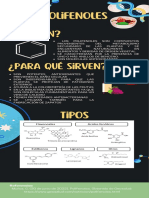 Infografia Polifenoles