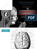 Cerebro