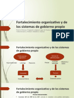 Fortalecimiento Organizativo y de Los Sistemas de Gobierno