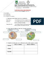 Nivelacion Ciencias Naturales 4