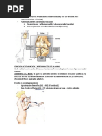 Articulaciones y Ligamentos Del Codo | PDF | Codo | Sistema ...