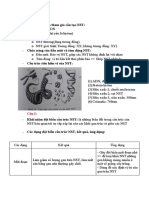 Sinh-HK1 (1)