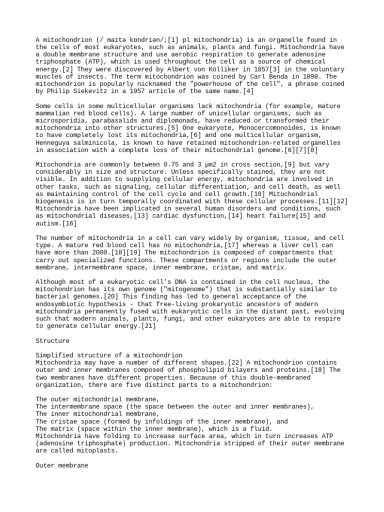 Mitochondria | PDF | Mitochondrion | Cell (Biology)