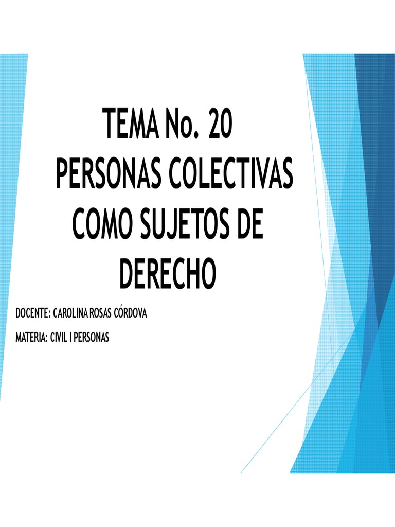 Diapositivas TEMA No 20 | PDF | Política | Ciencias sociales