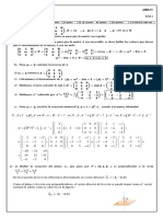 Primer Parcial - 1C - 2023 - Tema 1