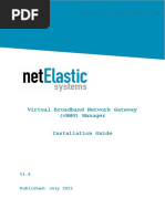 Netelastic VBNG Manager Installation Guide