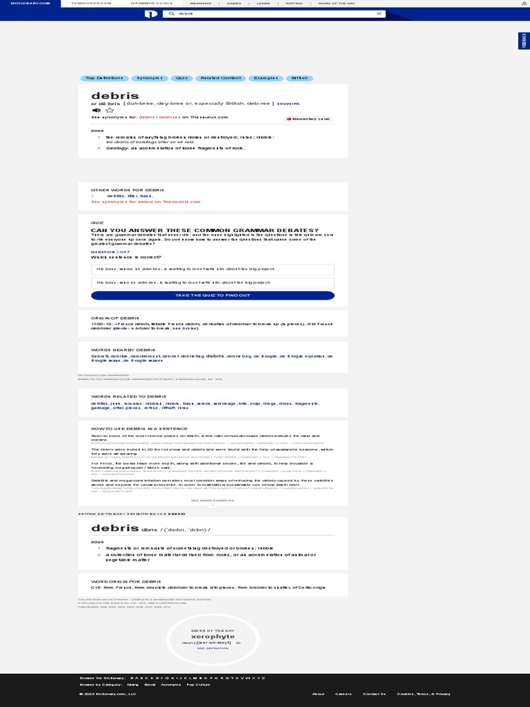 Debris Definition & Meaning PDF Debris Languages