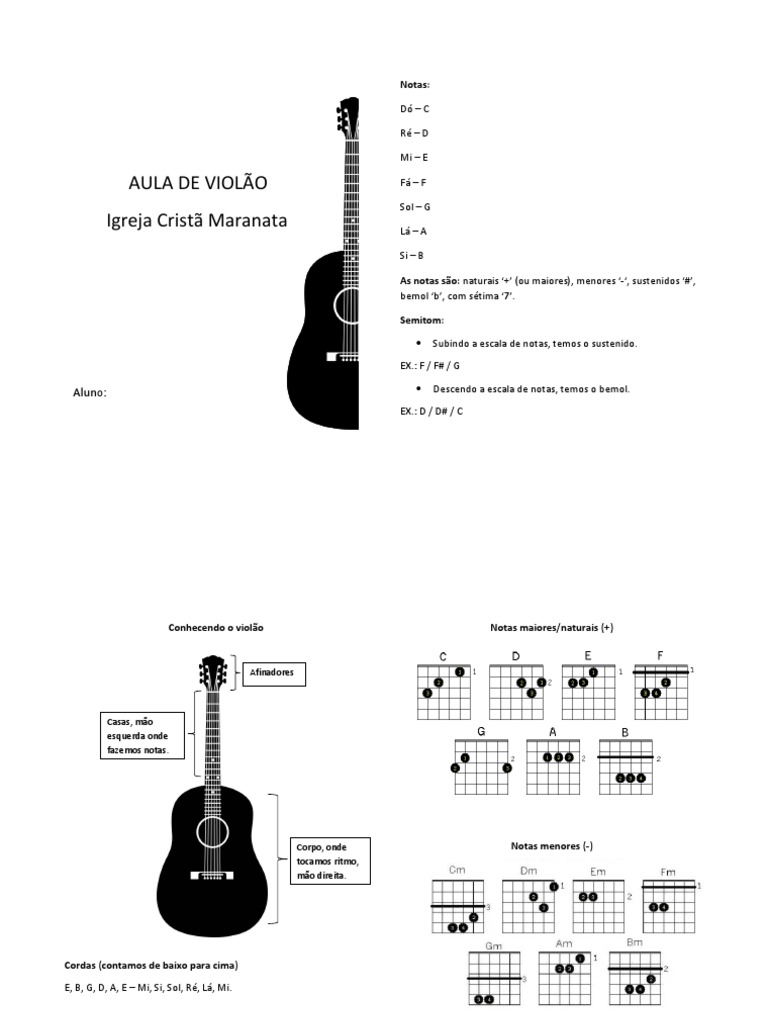 Aula de viol o pdf