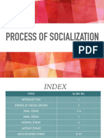 Process of Socialization