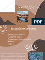 Contaminantes