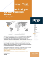 G20 Subsidies To Oil, Gas and Coal Production: Mexico: Carlos Dominguez Ordonez